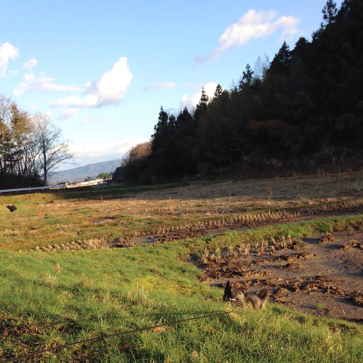 A65d1044 2ebf 4ff9 91da ef460baff441