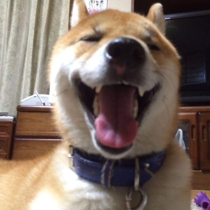 A65e28be 2881 4892 a8d9 6250ba728db1