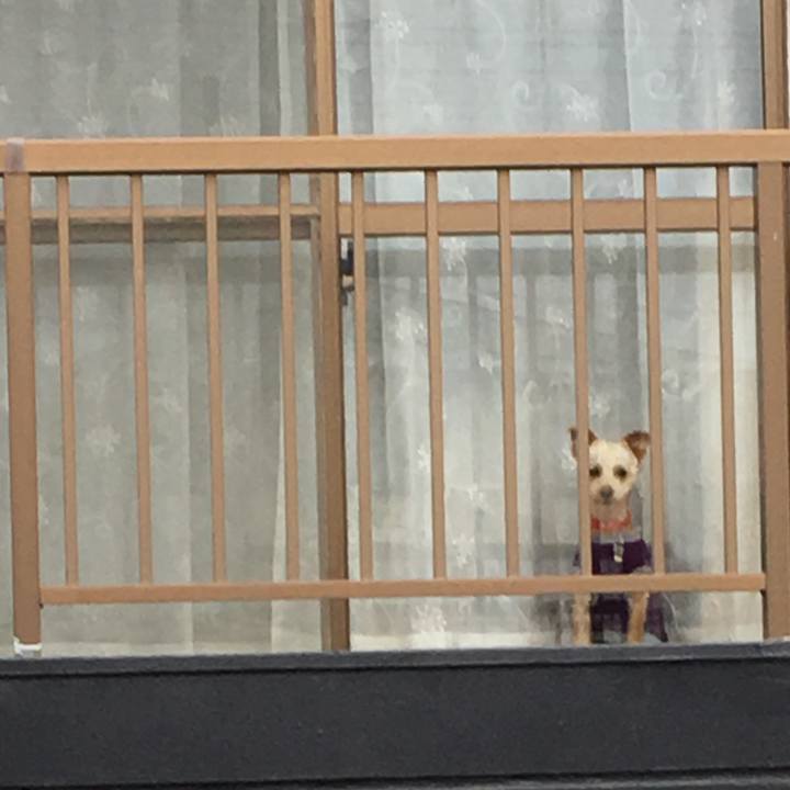 A65e5676 bc90 461d bfe5 62920f90599c