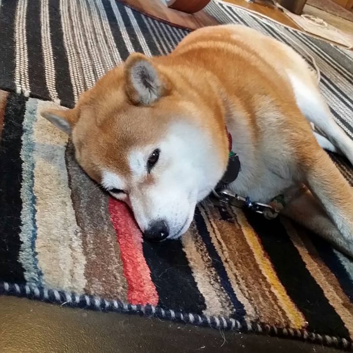 A65e9184 c9db 4048 8233 50b1cc55904c