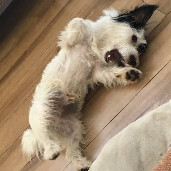 A65eeb0f d982 4e9e b7c6 22b368dbadea