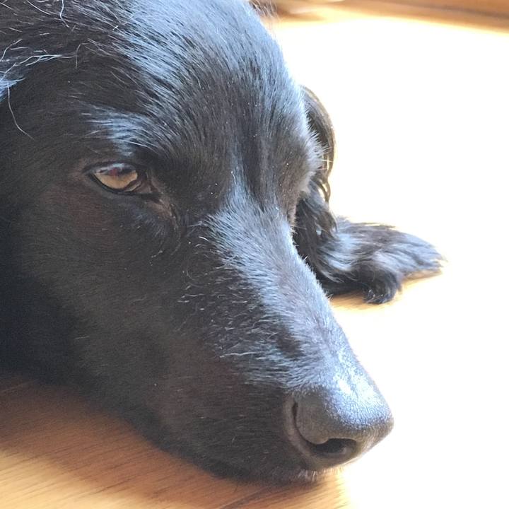 A65f1cd2 752f 4ed0 9dce 5694c4ddaa4f