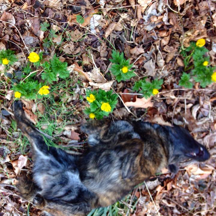 A65f550b b696 4f43 9350 a61f142b2aa9