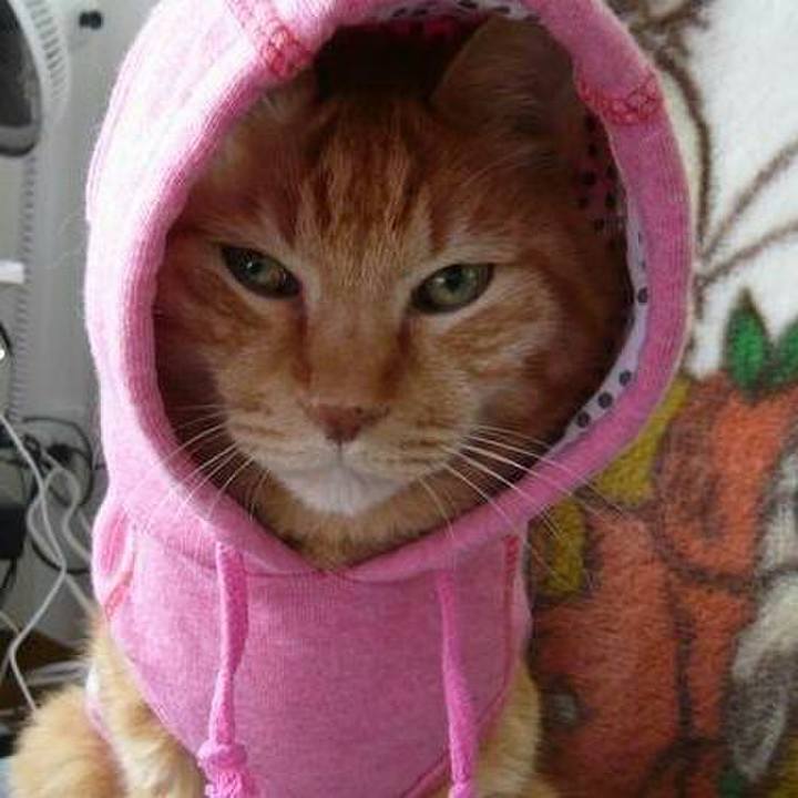 A65fb172 6010 44f4 89eb ad71c77a8dac