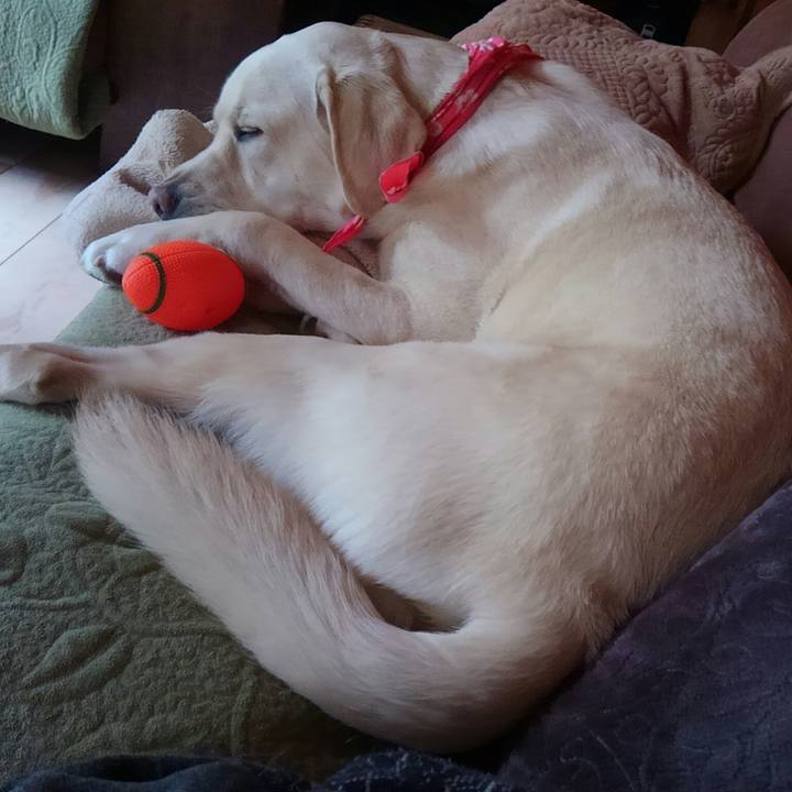 A660cb01 d6e3 4e09 b853 57fb5970c9bd