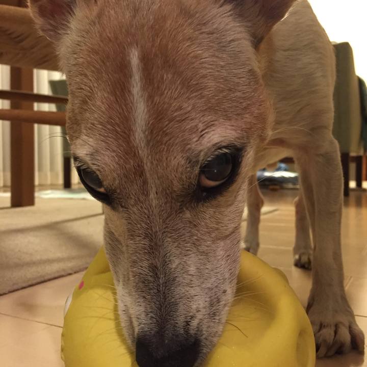 A660d295 6162 4d0f a481 8e0e2b90a164