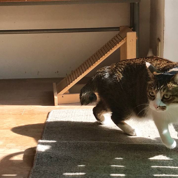 A6624b89 f72c 4f68 8bdf 695f7d0bb058