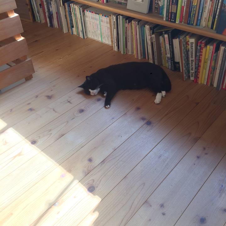 A66256e5 a472 467d b67b d72bd5c53bc9