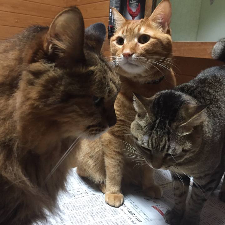 A6635cab 9180 419c a495 f56e57ecd86c