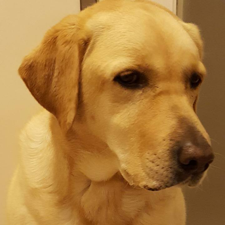 A663629e d738 4fa0 8d90 a2c08cfd9620