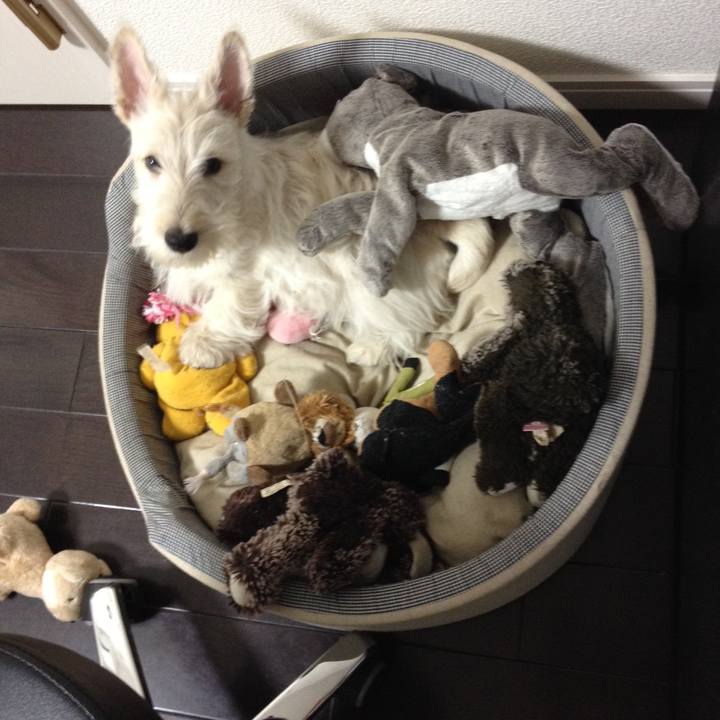 A663b292 1e94 4232 b19f 2a5ce604de26