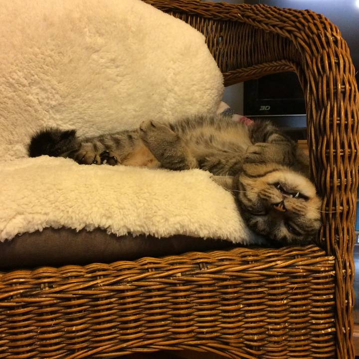 A6657043 59a0 49d4 a372 286a44586f8d