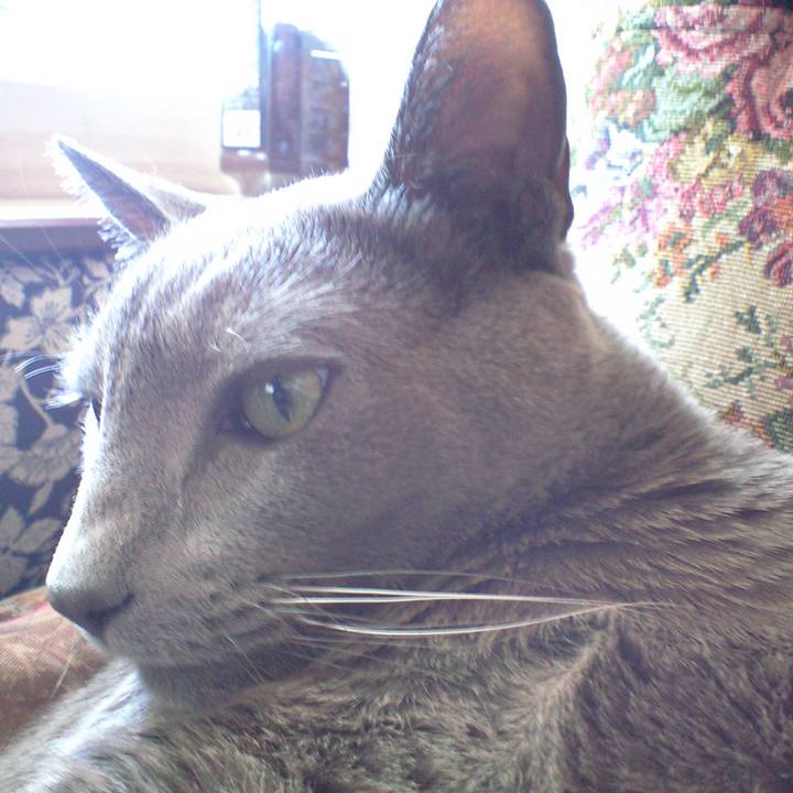 A665b358 c992 4868 bc6b f8b8044df918