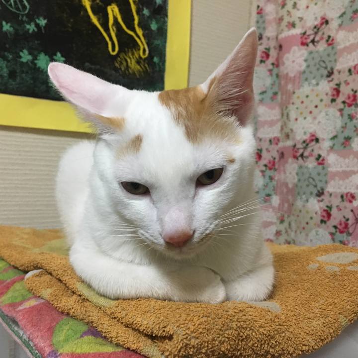 A665eb2b 5670 4301 bcad 105d7cb183e9