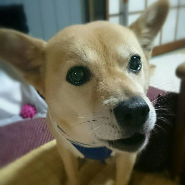 A666e530 5bb9 4fe8 a69f 205cff6a893f