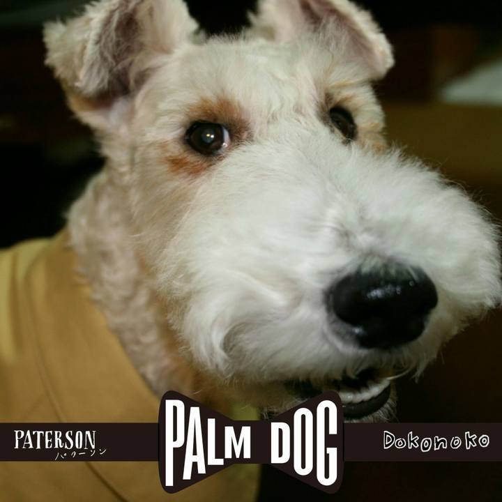 A66752ee 2e6f 4c40 909e e0207a5d0d21