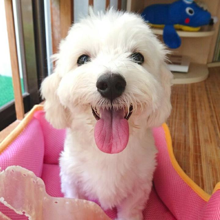 A667a67d 3dbc 4667 bafe d9b458c2e89e