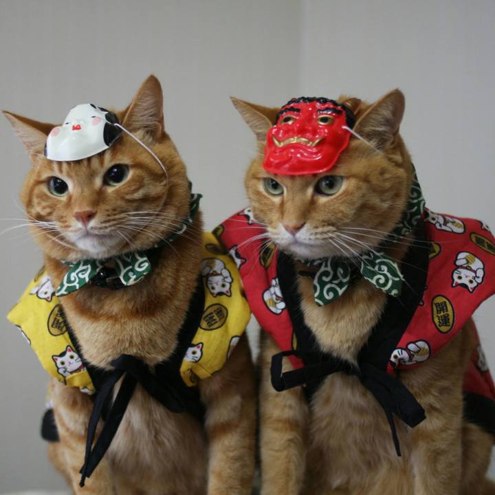 A667b5e7 0758 4417 9efa cce2be57be1f