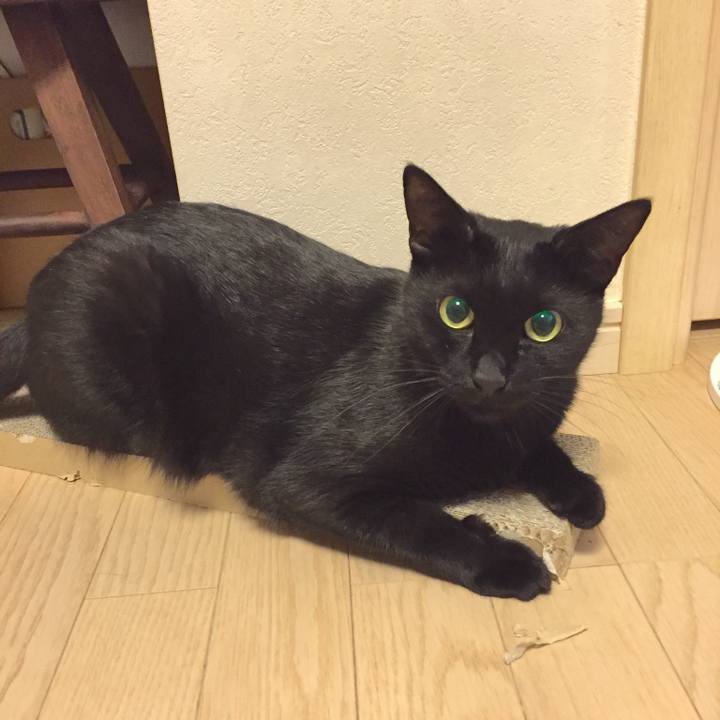 A66872b3 b36e 44c4 8c54 e5bc40d8d4f0