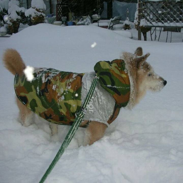 A66922aa 2c94 4836 8cbc 08a75709ad6a