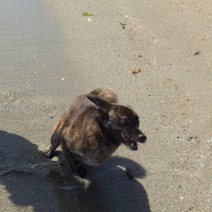 A669bd66 d930 417a a4d1 d6451cb82e14