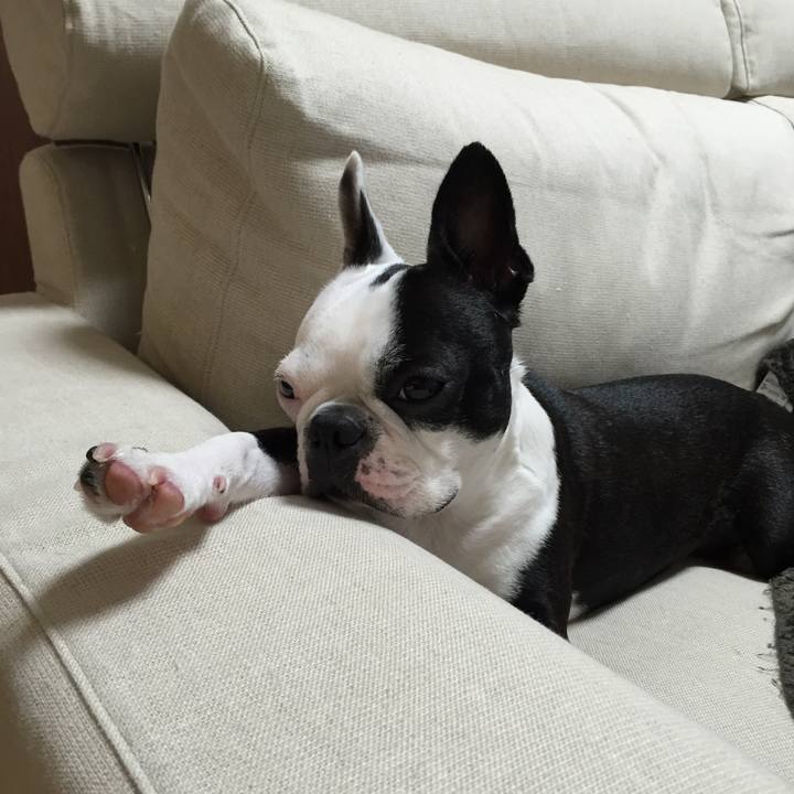 A669de49 9711 4e3a b3c4 8a29936b36c8