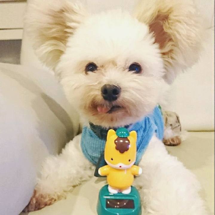 A669f67d dde0 4435 8ed8 53e4f4ef03c4