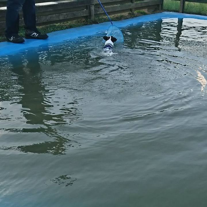 A66a177e 0df8 4a29 8263 6039476188f7