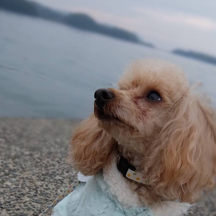 A66abafd a14e 4308 bb3c 1129d69ba2d3