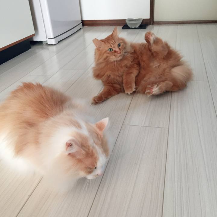 A66abcbd 7fec 4616 a7e2 109a7f342aca