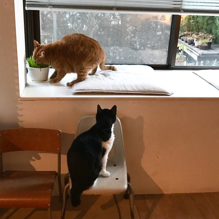 A66ad6fe 1107 4d03 9081 9a6a21894c88