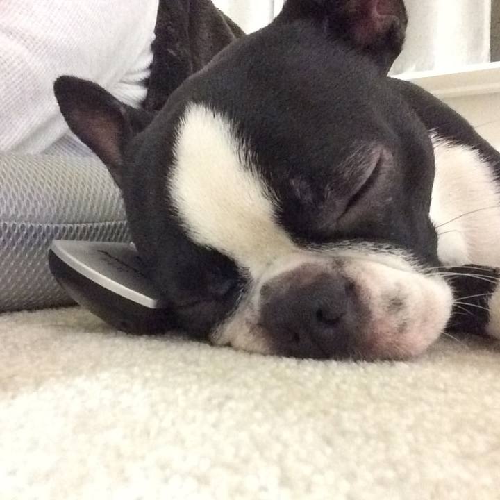 A66b8e9b fe5b 424e 80d9 2b2720f80c34