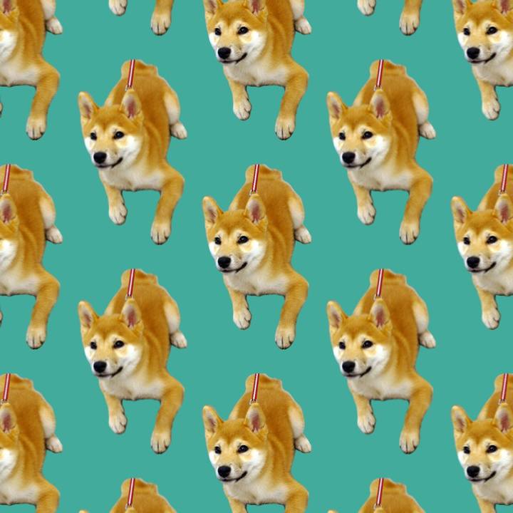 A66be23e 39e9 45fc 8a5b ba2b58bd29de