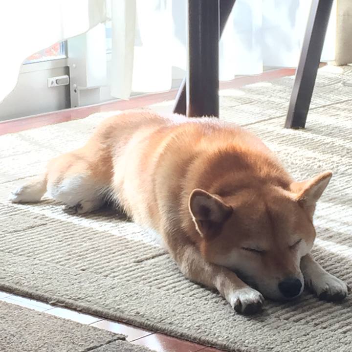 A66c0c01 befa 49f6 ac3b 89b4ad56496a