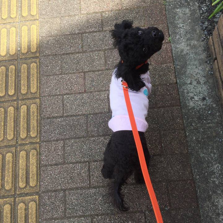 A66cbf1d 0eda 4a86 91d6 d7f98edbeccc