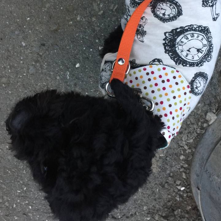 A66d62a1 83ba 41e6 8989 67875b1e684d