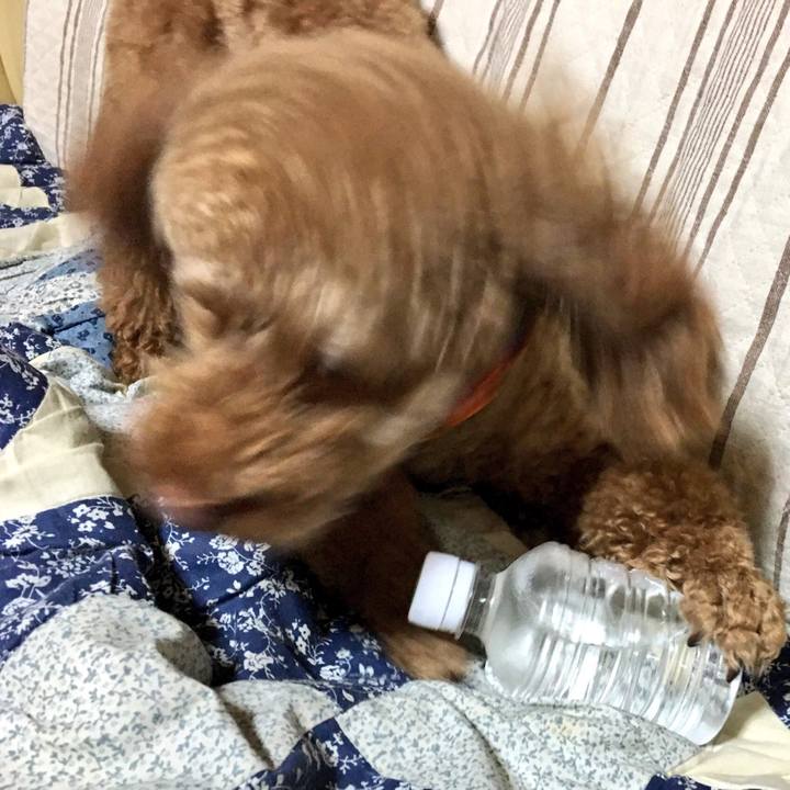 A66da31e edfa 4664 b7c7 b3111b1213c8