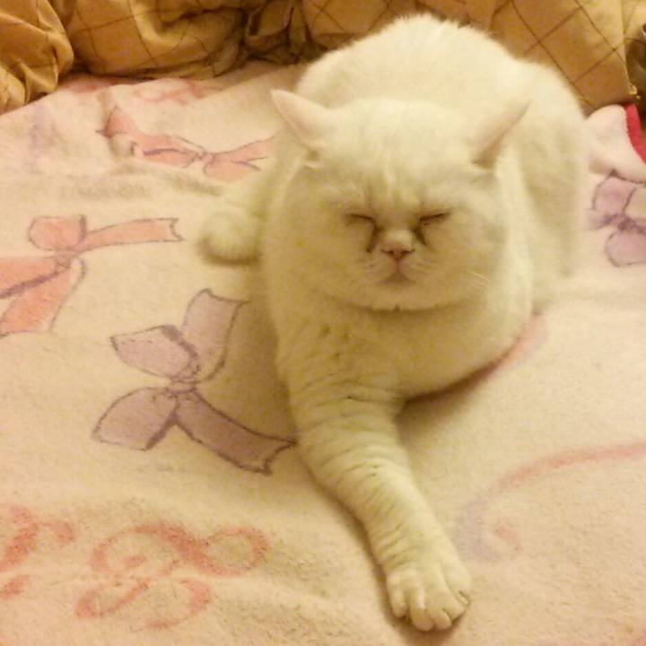 A66da6ad 3d30 4c80 b334 9e23d232d427