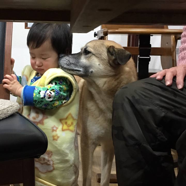 A66dc910 cc8f 4d7d 8e7f 8c7d3cf0bfa4