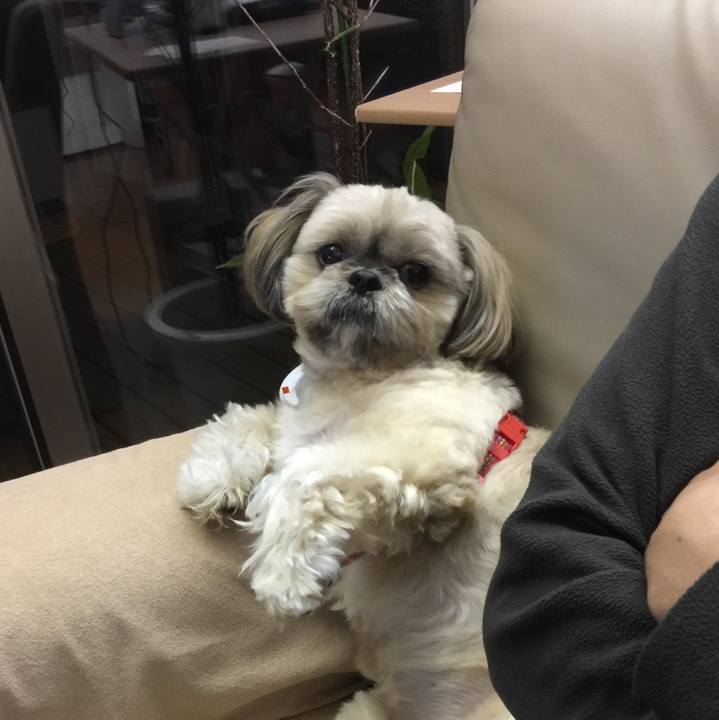 A66e376e 8100 428b 88cc 71537f19268c