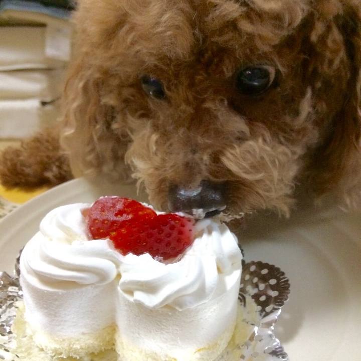 A66fbb45 a343 4f85 9c71 98530b237153