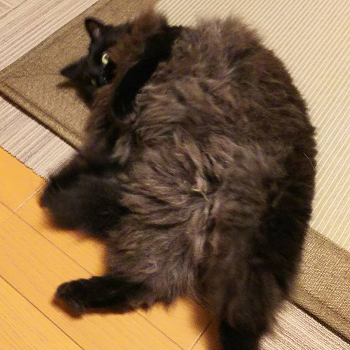 A66fc383 54c2 4a76 bea8 f5fdbed2fcd9