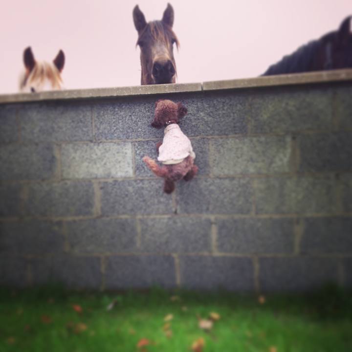 A670459f 0919 4153 85fa 7d5c0e27300a