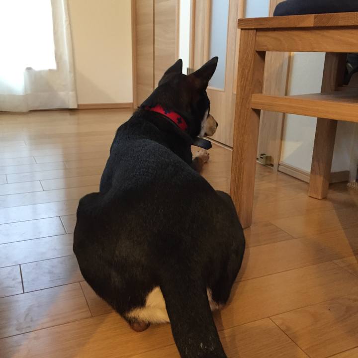 A6708495 48dd 4da2 8639 d510d7fa57a0