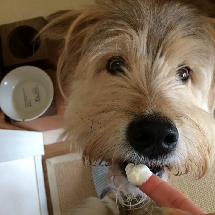 A6713cc3 ba9c 42fb 95be 244874a58ab6