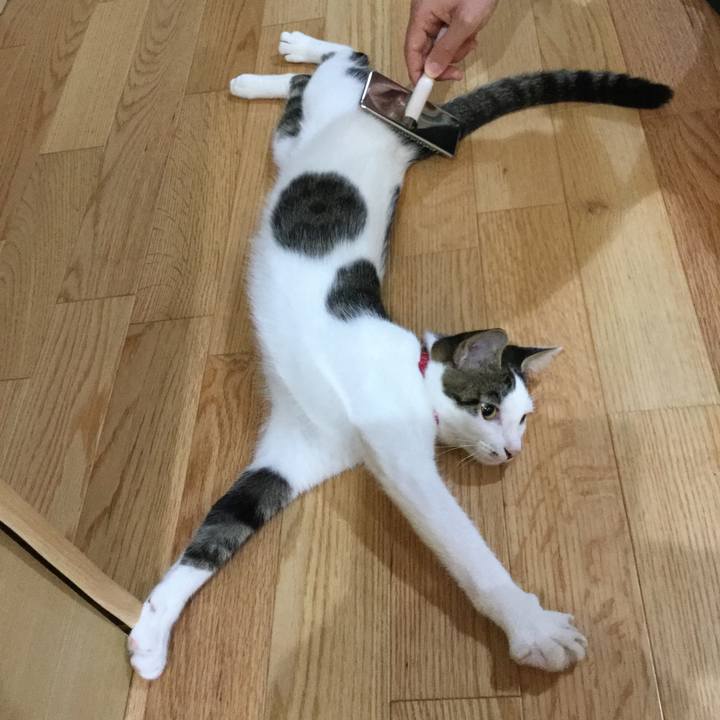 A671cb18 c65e 4fa1 b248 4e5ebb70120d