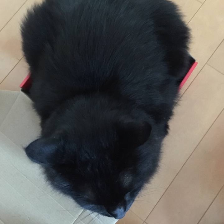 A6720500 b1aa 4ff1 9907 18f288de64a6