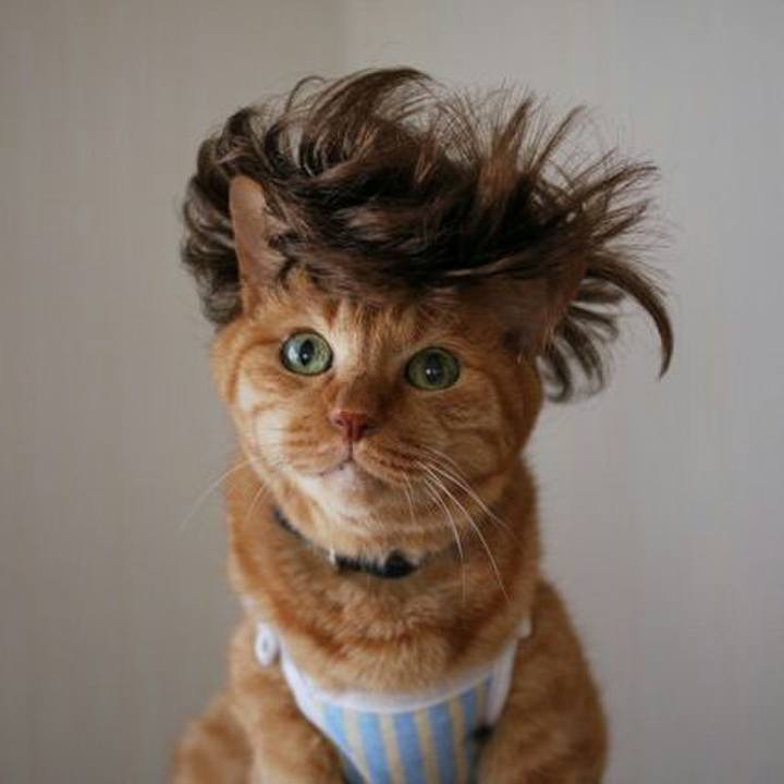 A67223fd 075d 44ab 9deb 918a76270651