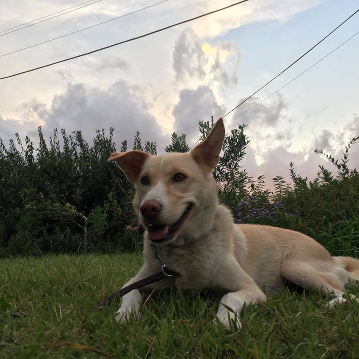 A67346d6 da2d 48bd 9df9 fe7a65eb2c49