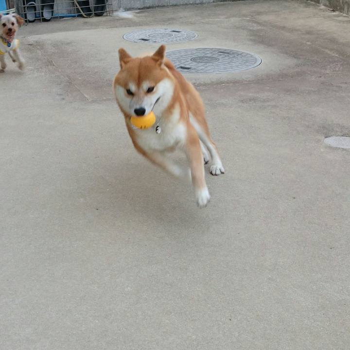 A6739a8a 6418 4537 b755 164a926dfb7f